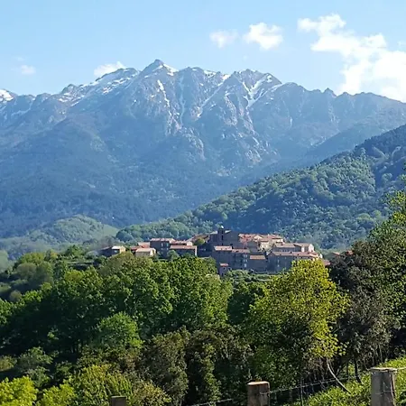 Les Chalets Et Gite Du Haut Taravo Zicavo Buitenkant foto