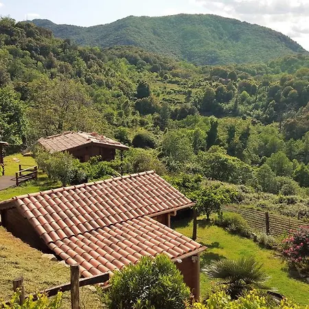 Les Chalets Et Gite Du Haut Taravo Zicavo Buitenkant foto