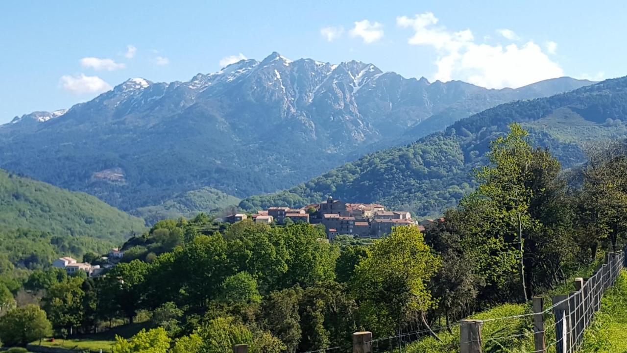 Chalet Les Et Du Taravo Zicavo