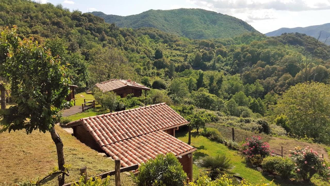 Chalet Les Et Du Taravo
